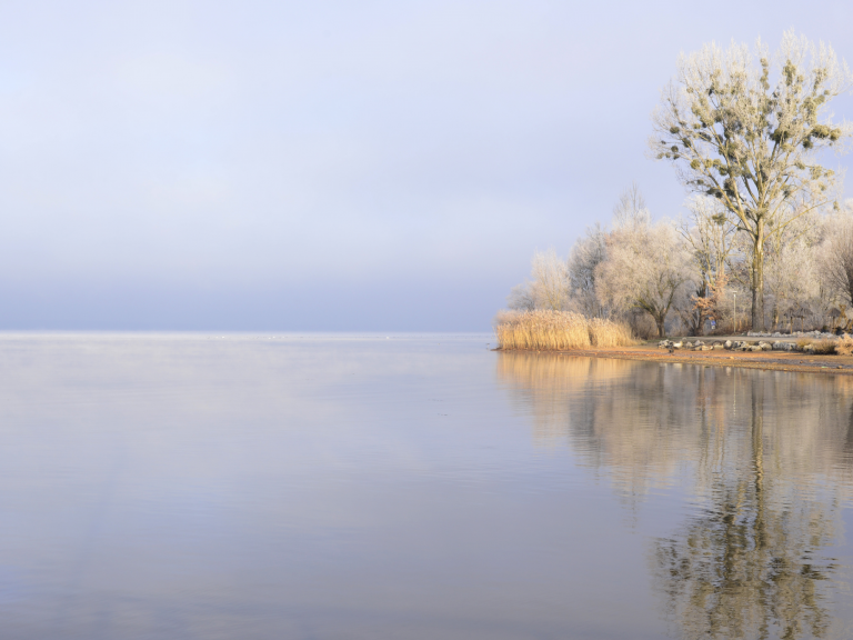 Winter am Rhederlaag